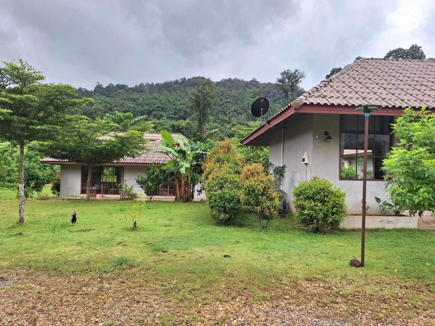 The Liveliwoods Hotel Khao Sok National Park Exterior photo